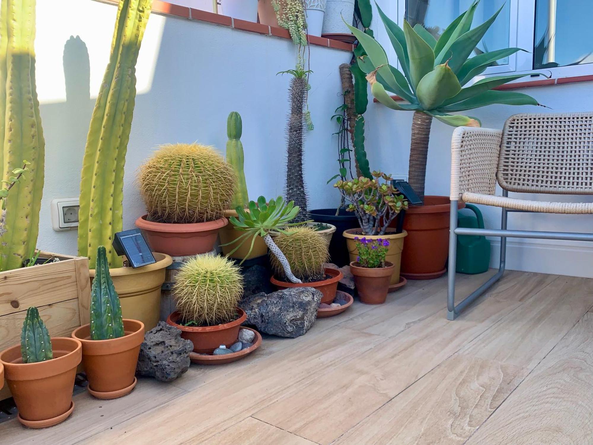 Atico Con Terraza, Vistas Panoramicas Y Parking Apartment Santa Cruz de Tenerife Exterior photo